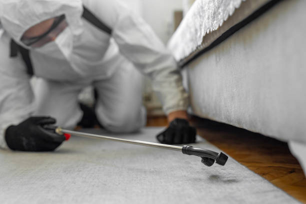Professional Bed Bug Control technician working in Decatur, GA