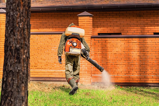Trusted Termite Control service in Decatur, GA - Nex Pest Control